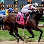 what the best horse to bet on today